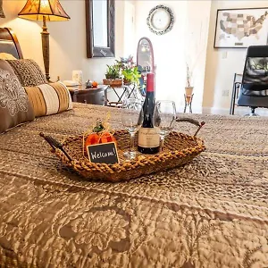 Guest house College Park-Orlando 5Star Villa Oasis - Home Away From Home - Quiet Neighborhood-Private Botanical Courtyard - Mins From Eola,Dt, Winter Park - Free Parking & Ev Plug In